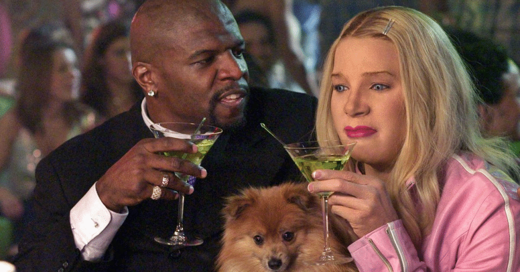  As Branquelas 2: A Missão (Im)possível de Trazer as Irmãs Wilson de Volta